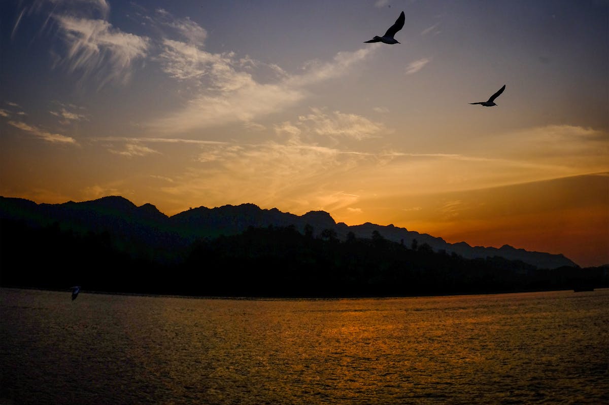 2026 GitHub Actions macOS-CI: selbst gehostete Runner vs. ephemere Mac-Pools