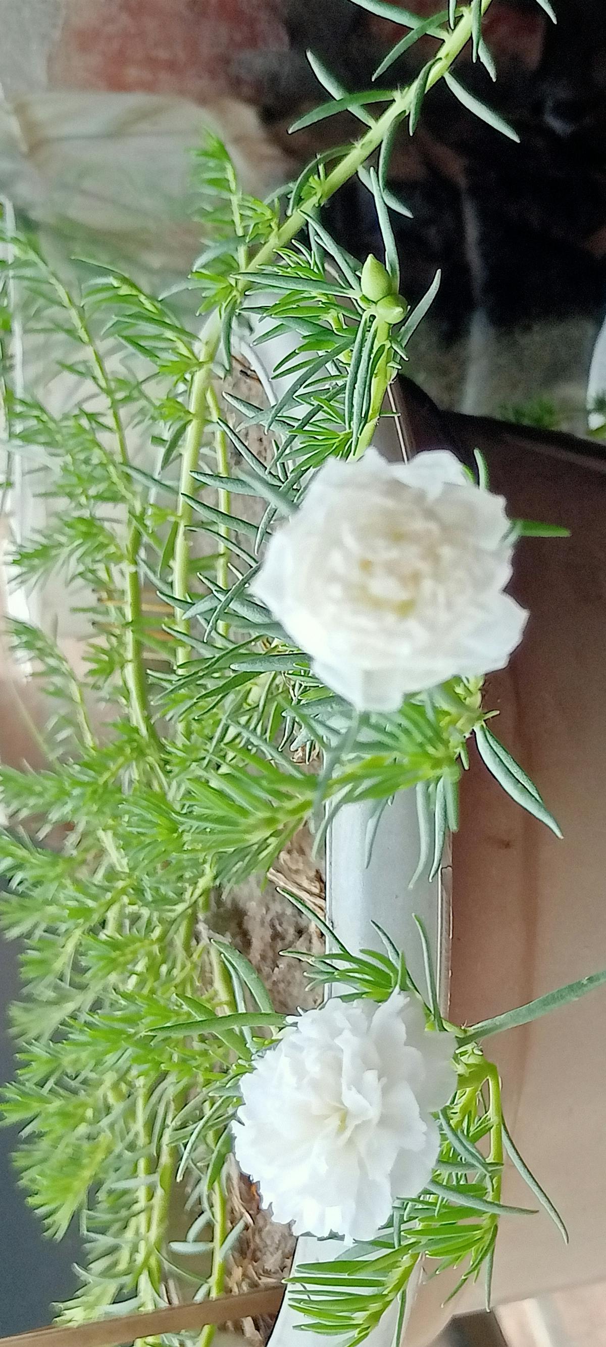 2026年全球团队多时区接力开发 PR 路由与区域 Mac 资源池 CI/CD 决策矩阵